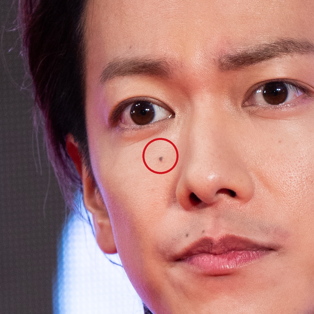 2019年の佐藤健の右頬のほくろを赤丸で示した正面寄りの画像
