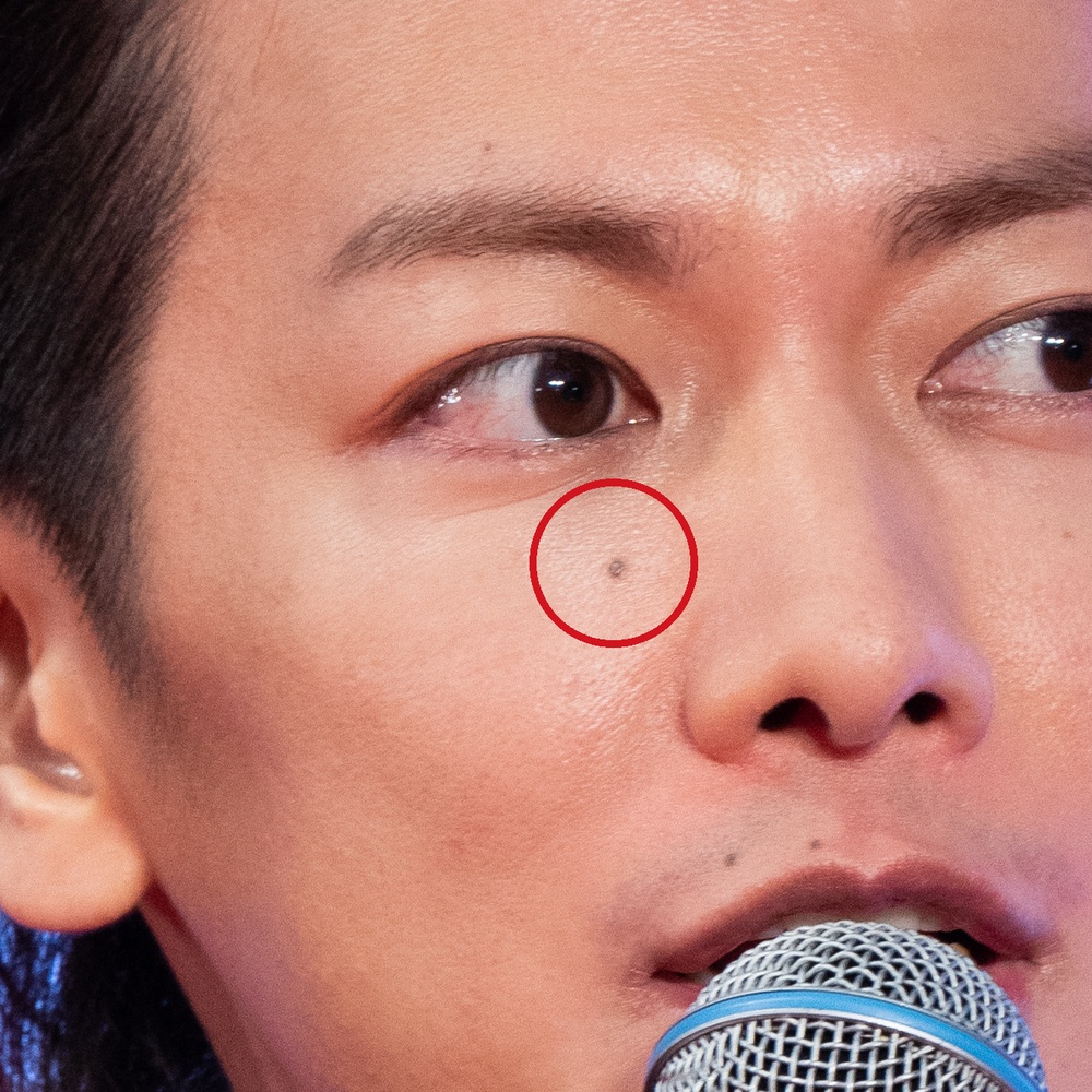 2019年の佐藤健の右頬のほくろを赤丸で示したマイクありの画像